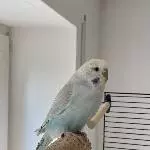 Sie sucht ein neues Zuhause Bild 1