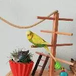 Gauss und Faraday suchen neues liebevolles Zuhause Bild 6