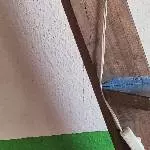 Welli-Hahn Sky sucht neues Zuhause Bild 2