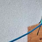 Welli-Hahn Sky sucht neues Zuhause Bild 1