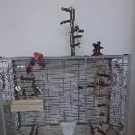Wellensittich Männchen sucht neuen Körnergeber (mit Käfig) Bild 1