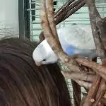 2 Wellis suchen ein neues Zuhause Bild 6