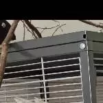 2 Wellis suchen ein neues Zuhause Bild 4