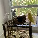 Unsere Drei suchen ein neues Heim Bild 1