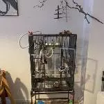 Unsere Drei suchen ein neues Heim Bild 7