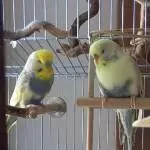 Anton und Smilla suchen ein neues liebevolles Zuhause Bild 2