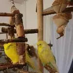 Timmy und Julchen anzugeben Bild 1
