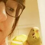 Ältere Wellidame sucht Zuhause für Lebensabend Bild 1