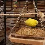 Pauly, Ernie und Bert auf der Suche nach einem neuen zu Hause Bild 2