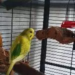 Welli-Dame sucht neuen Wirkungskreis Bild 1