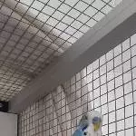 Flugunfähiger blinder Senior sucht Endplatz Bild 1