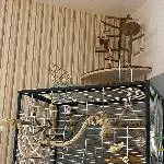 Liebes Welli-Paar sucht ein neues zu Hause Bild 2