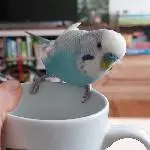 Kai Uwe sucht neue Freunde Bild 1