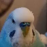 Kai Uwe sucht neue Freunde Bild 3