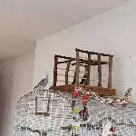 Rocko (w, 5 Jahre, Witwe) sucht neue(n) Partner Bild 4