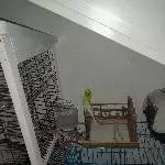 Pärchen sucht Zuhause Bild 3