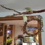 Wir suchen ein neues Zuhause Bild 1