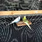 Neues Zuhause gesucht Bild 1