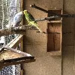 Neues Zuhause gesucht Bild 2