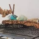 Henne Pepe sucht ein Fußgänger-gerechtes Zuhause Bild 1