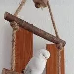 Ein Hahn und eine Henne suchen ein liebevolles ,neues Zuhause! Bild 2