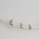 Neuer Flugplatz gesucht Bild 3