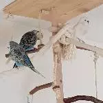 Neuer Flugplatz gesucht Bild 2