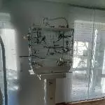 Suche schweren Herzens ein neues Zuhause für mein Welli Paar Bild 6
