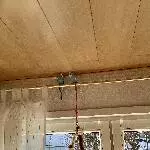 Lina und Sam suchen dringend ein liebevolles neues zu Hause Bild 4
