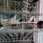Zuhause gesucht Bild 2