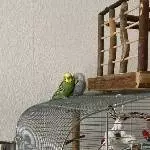Hahn Elvis sucht bald ein neues Zuhause Bild 1