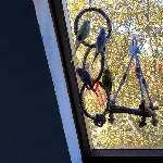Neues Liebevolles zu Hause gesucht Bild 3