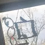 Neues Liebevolles zu Hause gesucht Bild 2