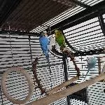 Neues Liebevolles zu Hause gesucht Bild 1