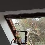 Neues Liebevolles zu Hause gesucht Bild 4