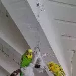 Amira und Kiwi suchen ein neues Zuhause Bild 1