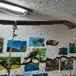 3 Wellie-Männer suchen neues Zuhause Bild 1