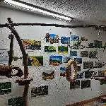 3 Wellie-Männer suchen neues Zuhause Bild 2