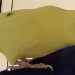 2 handaufgezogene sehr zutrauliche Wellis suchen ihr neues Zuhause Bild 8