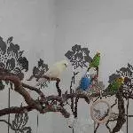 3 Wellis suchen altersgerechtes Zuhause Bild 1