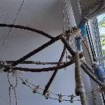 Wellensittich Paar abzugeben Bild 1