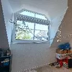 Wellensittich Paar abzugeben Bild 3