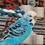 Wilma sucht neuen Wirkungskreis Bild 1