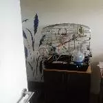 zwei blaue Wellis suchen ein Zuhause Bild 1