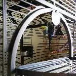 4 Wellis suchen eine neue Heimat Bild 3