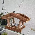Wellipärchen abzugeben Bild 3