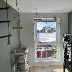 4 Wellis abzugeben (Handzahm) Bild 1