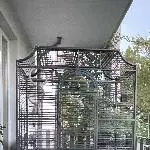 Sympathische Männchen suchen Gesellschaft Bild 4