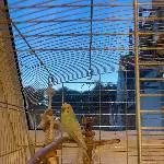 Holly sucht eine neues Zuhause mit Partner Bild 1
