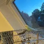 Holly sucht eine neues Zuhause mit Partner Bild 2